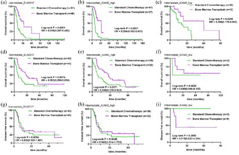 aml bone marrow transplant survival.